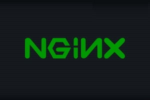 Nginx, configure caching and compression of data - accelerate download speed