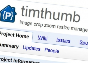 Serious vulnerability in TimThumb. Attention site owners on wordpress!